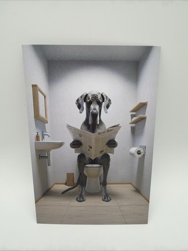 Affiche carte postale dogue - affiche,