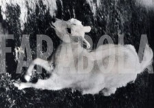 Photo De Presse Vintage Cette