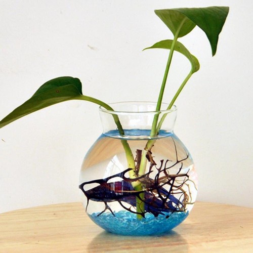 Verre clair fleur planteur - clair,