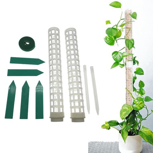 Escalade plantes for - de,