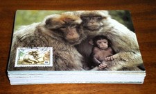 Lot de 63 Cartes Maximum oblitérées Premier Jour. Cartes neuves Excellent état