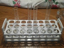 Test tubes and rack