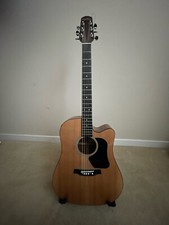 Walden semi acoustic guitar - semi,