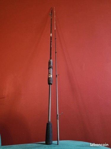 Canne pêche tenryu - canne,