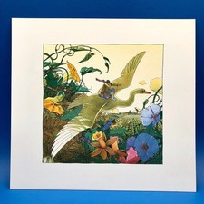 Moebius L'aviateur Vol dans la