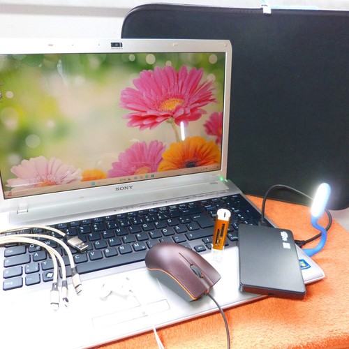 Sony vaio f13 - sony,