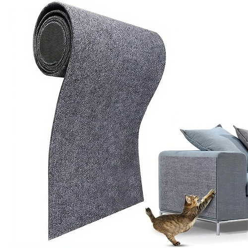 Griffoir chat canapé - chat,