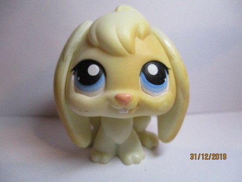 Petshop lapin belier - lapin,