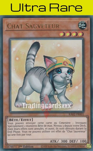 Chat sauveteur v - chat,