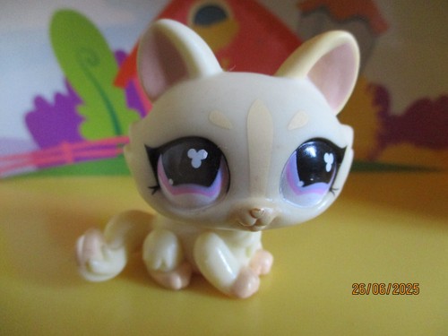 Petshop chat sphynx - , #848