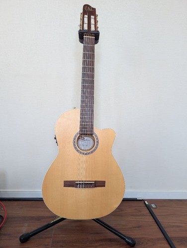 Guitare acoustique godin arena - godin,