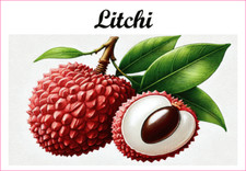 Litchi 12 sticker vinyle