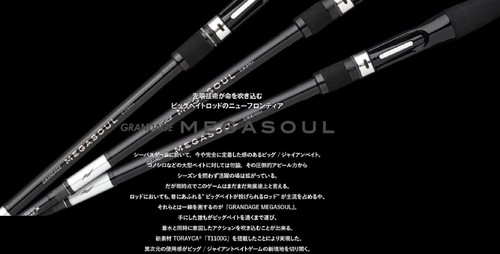 Apia rod baitcast grandage - apia,