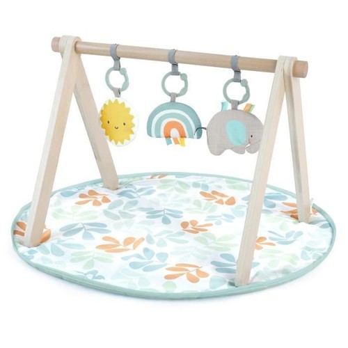Ingenuity tapis éveil - ingenuity, d'éveil