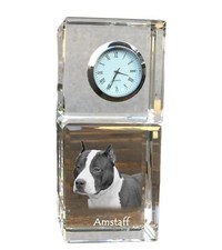 American Staffordshire
