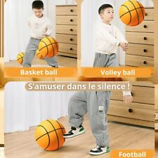 Ballon + panier de basket-ball