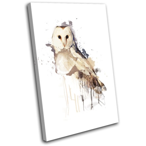 Barn owl bird paint - owl,