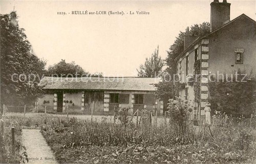 Ruille sur loir aviary - la,