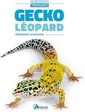 Gecko Leopard