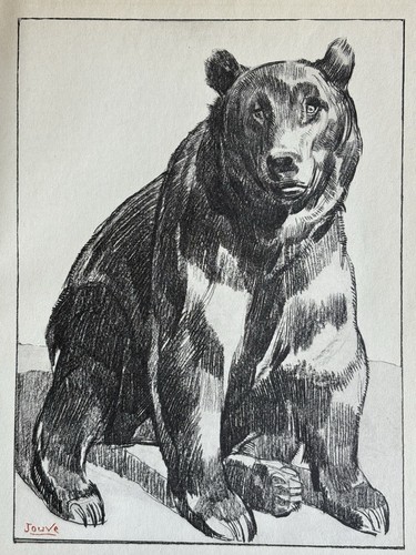 Paul jouve gravure animalière - gravure,