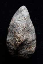 Acheulean Quartzite Hand Axe (biface) Homo Erectus - Mauritania - 80mm