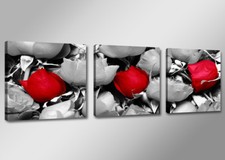 Images sur toile sur cadre 3 x à 50 x 50 cm fleur rose art pret a accrocher 4201