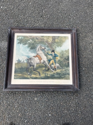 Gravure ancienne xixe cheval - ancienne,