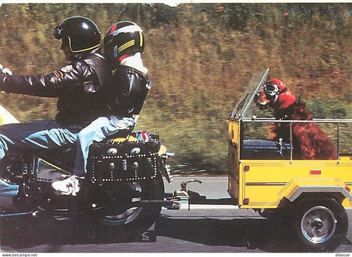 Carte postale motos chien - carte,