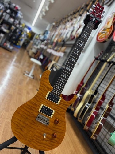 Guitare électrique prs - guitare,