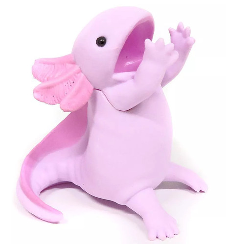 Collectible pakutto axolotl - pakutto, !