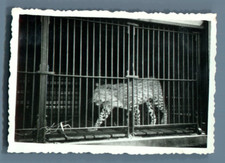 Galdin, France, Paris, Cirque