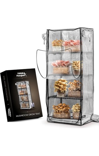 Terra fungus mushroom grow - terra,