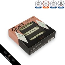 Étui abîmé Fender Pure