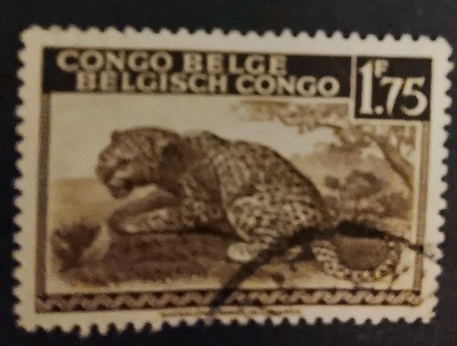 Congo belge léopard 1942 75 - 1942, 1,75
