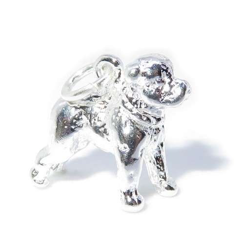 Breloque argent sterling - breloque,