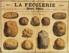 rare POSTER 1894 la FECULERIE - HEBERT THOMAS Compiègne Vilmorin POTATO POTATO