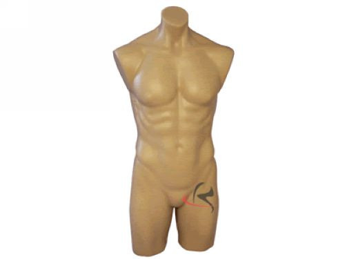 Male manequin mannequin - male,