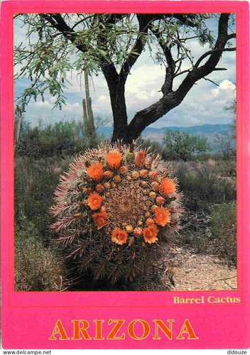 Carte postale fleurs - postale,