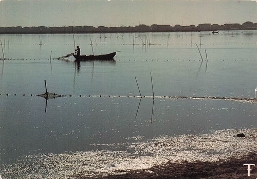 Etang mauguio scene de - etang,