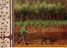 Art - Painting - Gaston Phébus - The Book of Hunting - The Quest - CPM - See S