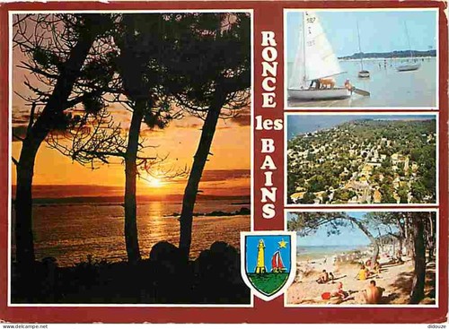 Carte postale ronce les - -,