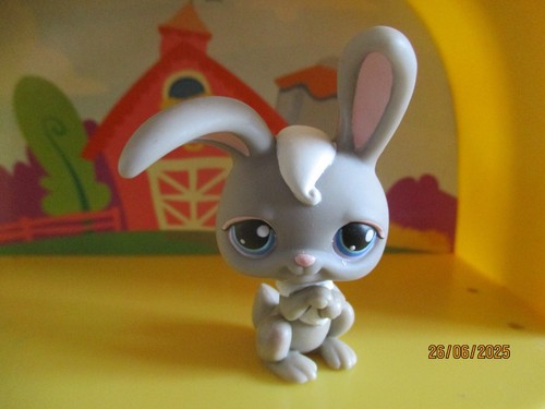 Petshop lapin garenne - petshop, de