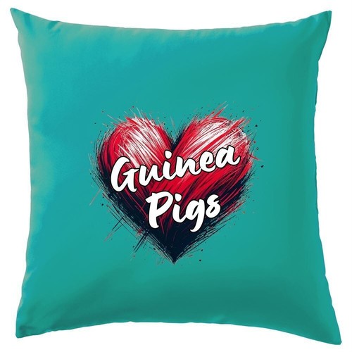 Cœur amour cochons inde - cochons,