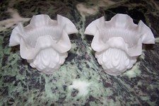 2 Anciennes Tulipes en Verre Dépoli Lampe à pétrole / Lustre