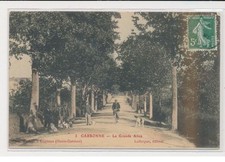 CARBONNE - La grande allée - hunting - condition
