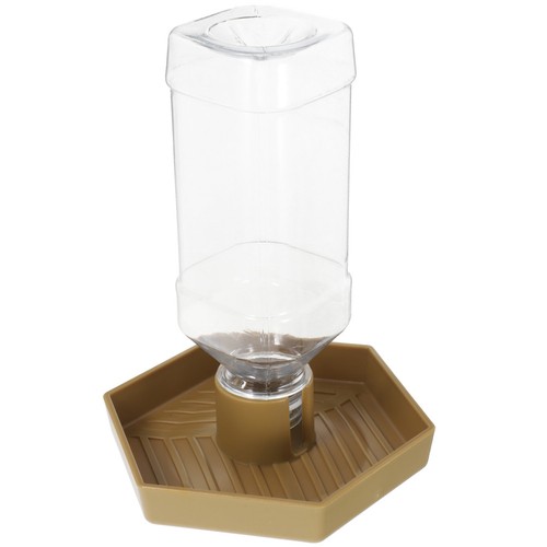 Bol eau pour tortue - d'eau,