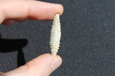 Préhistoire Néolithique Pointe de Flèche Silex 3,4 cm Mali Sahara Biface