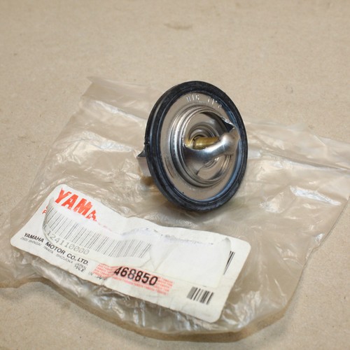 Thermostat eau 350 - rd,