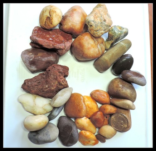 Pounds aquarium set beach - pounds,
