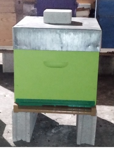 Ruche verte dadant peuplée - dadant,